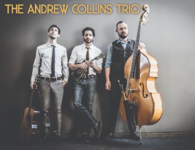 Andrew Collins Trio